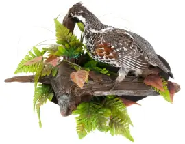 Чучело "Рябчик на дереве" Чучело "Рябчик на дереве"