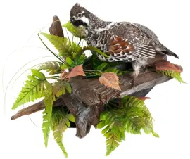 Чучело "Рябчик на дереве" Чучело "Рябчик на дереве"