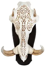 Барельеф "Череп бородавочника" Барельеф "Череп бородавочника"