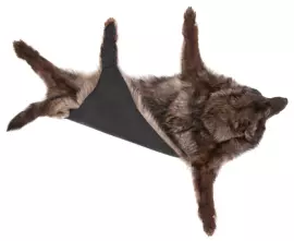 Ковёр из шкуры чёрного канадского волка