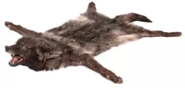 Ковёр из шкуры чёрного канадского волка