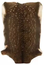 Ковер из шкуры пятнистого оленя