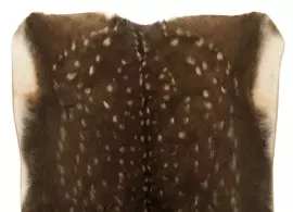 Ковер из шкуры пятнистого оленя