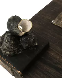 The ship made of stained oak "Kapitanessa"