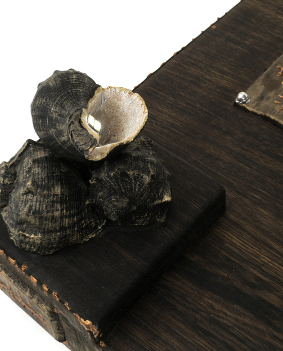 The ship made of stained oak "Kapitanessa"