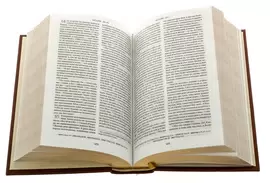 Книга в кожаном переплете "Библия. Лик Троицы"