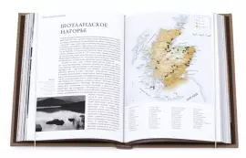 Книга "Солодовый виски"