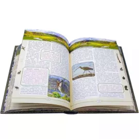 Подарочная книга "Русская охота", Л.П.Сабанеев