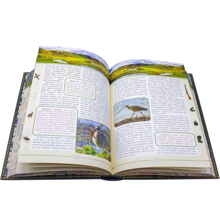 Gift book "Russian Hunting", L.P.Sabaneev