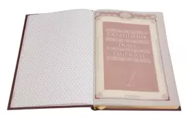 Ежедневник «Металлургу-4» формата А5, красный