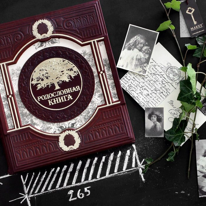 Family Tree Family Tree Book (brown)