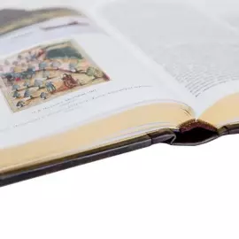 Жизнь и ловля пресноводных рыб. Сабанеев Л.П.