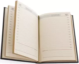 Ежедневник в кожаном переплете "МЧС России"