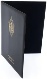 Папка кожаная для бумаг "ФСБ" синяя