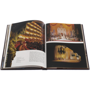 Leather-bound book "Photo Album Moscow"