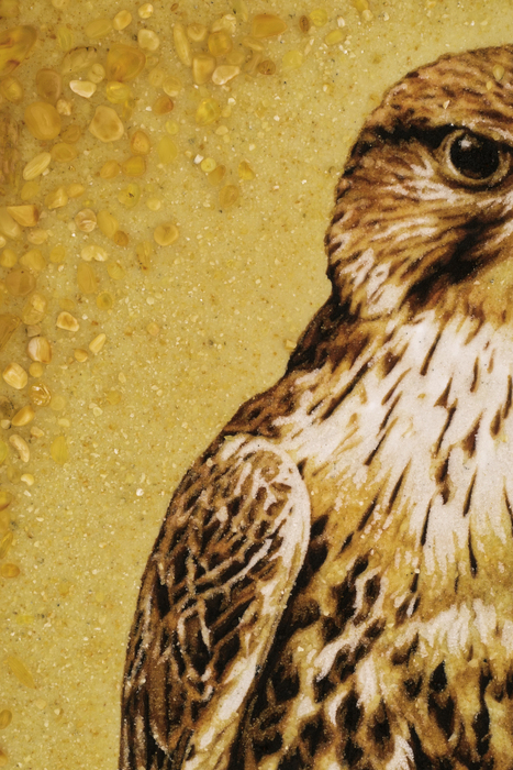 The painting of amber "Falcon"