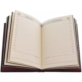 Ежедневник в кожаном переплете "Медицина"