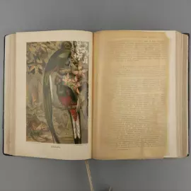 Книга «Жизнь животных Брэма», Брем А.Э, Санкт-Петербург, 1902 г.