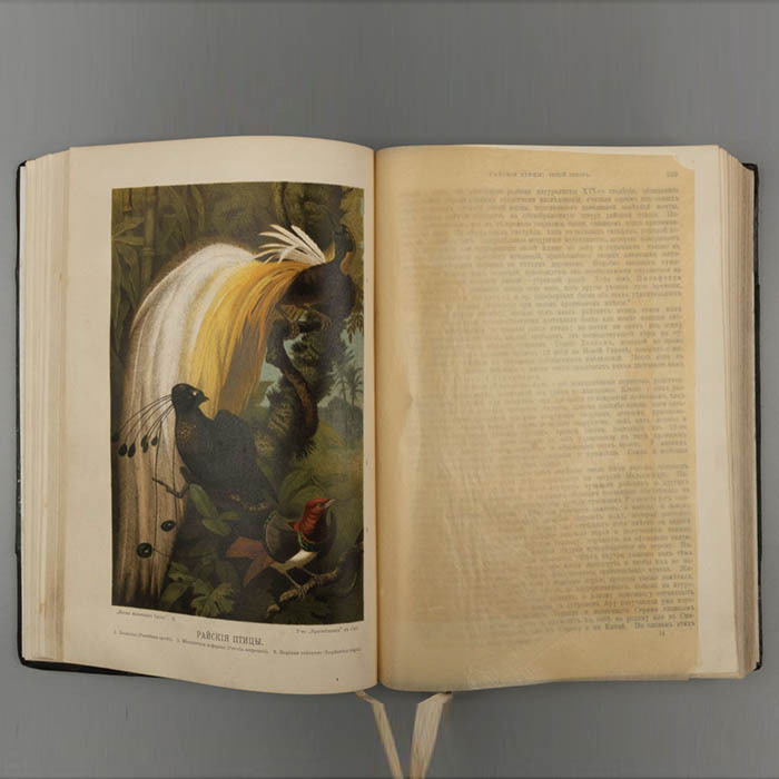 Книга «Жизнь животных Брэма», Брем А.Э, Санкт-Петербург, 1902 г.