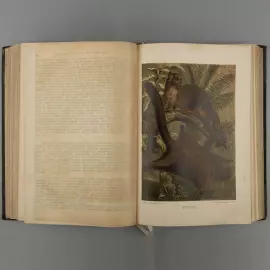 Книга «Жизнь животных Брэма», Брем А.Э, Санкт-Петербург, 1902 г.