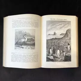 Книга «Жизнь моря. Животный и растительный мир моря, его жизнь и взаимоотношения». Келлер К., Санкт-Петербург, 1905 г.