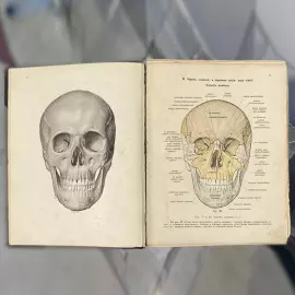 The book "Sobotta J. Atlas of descriptive human Anatomy" signed by Alexander Kuprin in 1912.