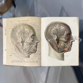 The book "Sobotta J. Atlas of descriptive human Anatomy" signed by Alexander Kuprin in 1912.