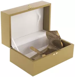 The stand for the smartphone "Tie" is large, Zlatoust