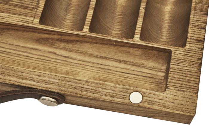 Ash case with 500 poker chips