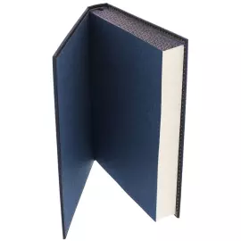 Книга в кожаном переплете "Н.Вениаминов. Рыболовство в России" в футляре