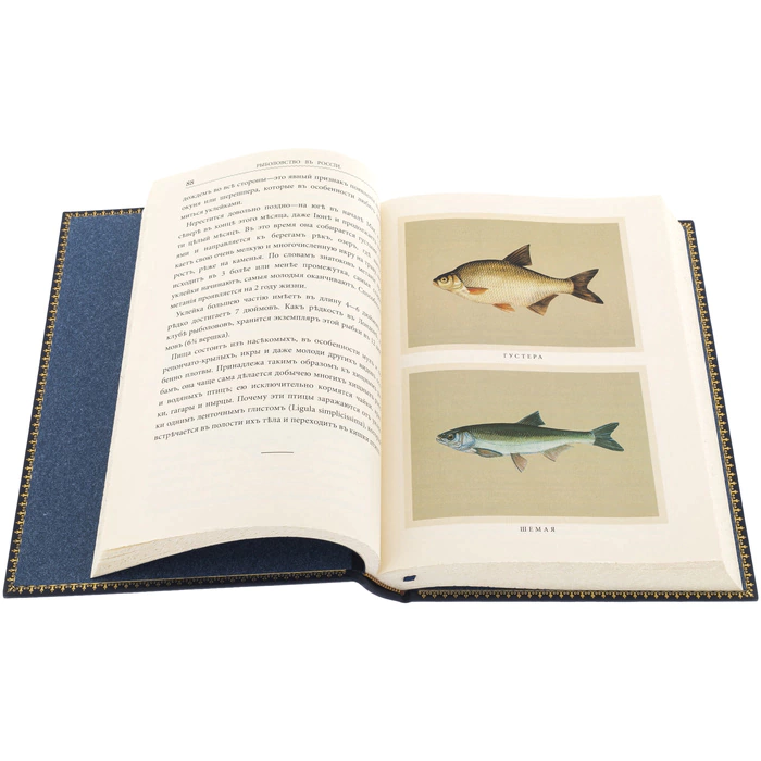 The leather-bound book "N.Veniaminov. Fishing in Russia" in a case