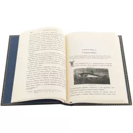Книга в кожаном переплете "Н.Вениаминов. Рыболовство в России" в футляре
