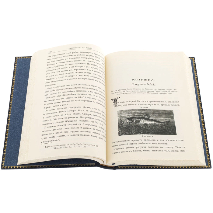 The leather-bound book "N.Veniaminov. Fishing in Russia" in a case