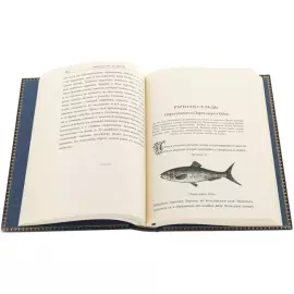 Книга в кожаном переплете "Н.Вениаминов. Рыболовство в России" в футляре