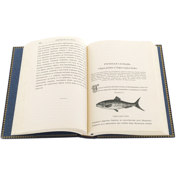 The leather-bound book "N.Veniaminov. Fishing in Russia" in a case