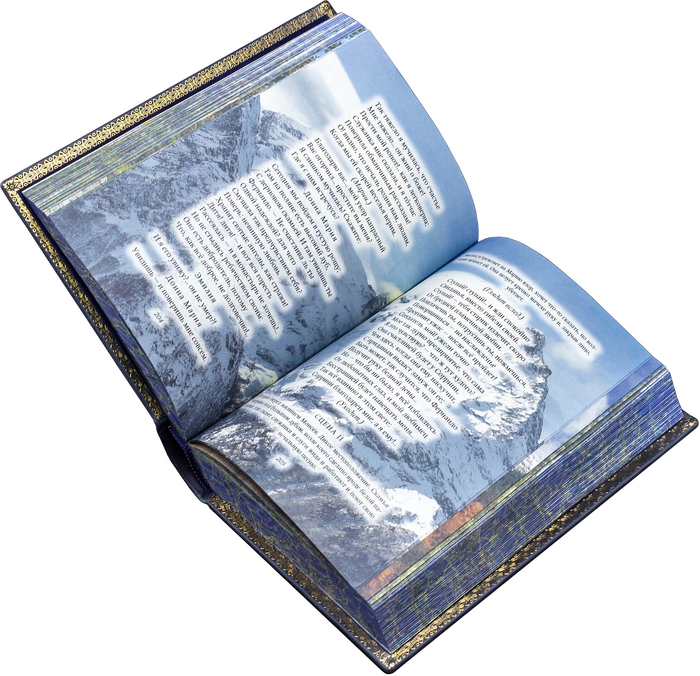 Leather-bound gift book "The collected works of M. Y. Lermontov 5 volumes"