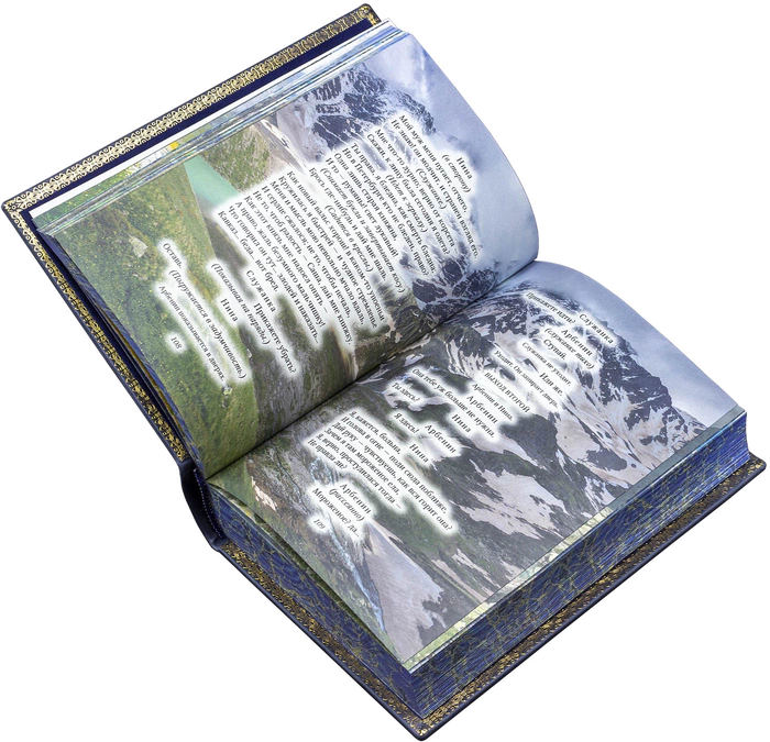 Leather-bound gift book "The collected works of M. Y. Lermontov 5 volumes"