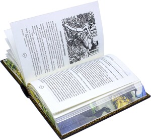 Подарочная книга в кожаном переплете Артур Конан Дойл "Записки о Шерлоке Холмсе"