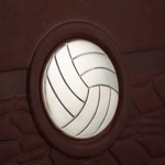 The leather-bound book "Volleyball"