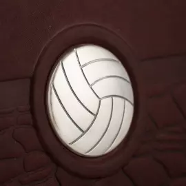 Книга в кожаном переплете "Волейбол"