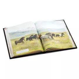The leather-bound book "Horses"