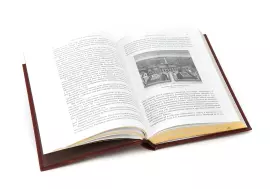 Книга в кожаном переплете "Старый Петербург" Пыляев