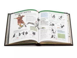 Книга в кожаном переплете "Футбол"
