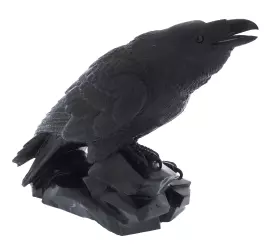 Talcochloride sculpture "Raven"