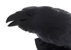 Talcochloride sculpture "Raven"