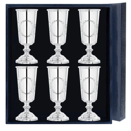 Silver set of glasses "Gift" 6 items in a case