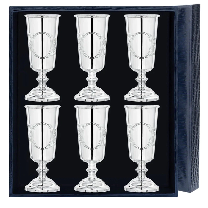 Silver set of glasses "Gift" 6 items in a case