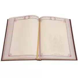 A5 leather-bound diary "Metallurg-3" with a nickel-plated cover