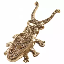 Подарочный набор для обуви "Аристократ: ложка, жук"