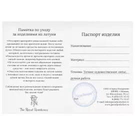 Подарочный набор для обуви "Аристократ: ложка, жук"